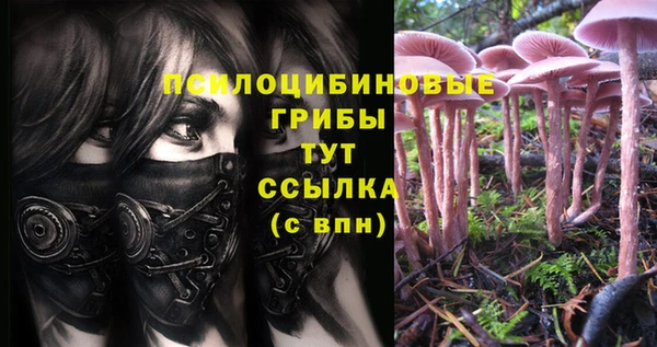 mdpv Балахна