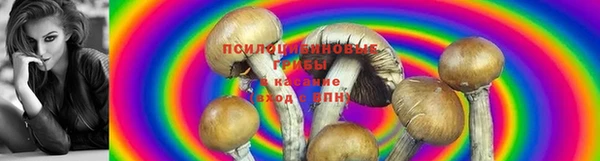 кокс Аркадак