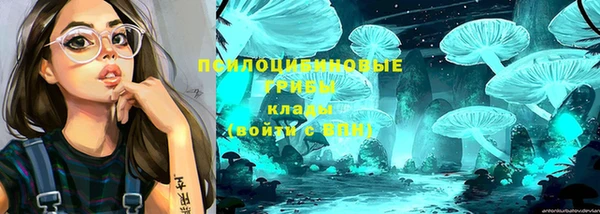 apvp Тутаев