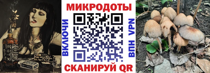 наркотики  Ульяновск  Псилоцибиновые грибы Cubensis 